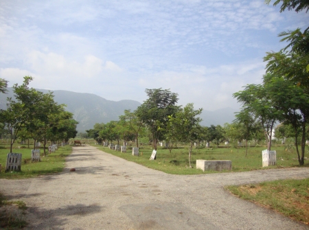 1) Commercial Plots for Sale to IIT College, Yerpedu - Venkatagiri Highway.JPG
